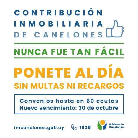 Contribución Octubre 2026