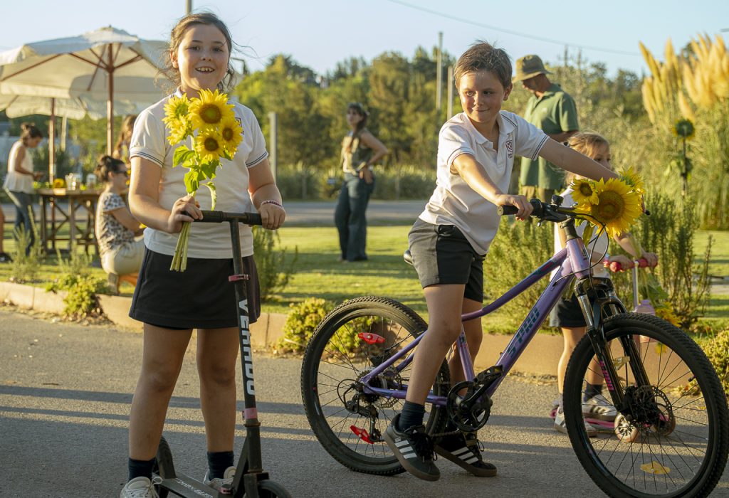 FOTOS LTB MAR GIRASOLES--117