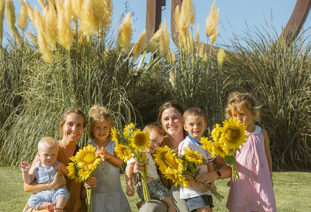 FOTOS LTB MAR GIRASOLES--33