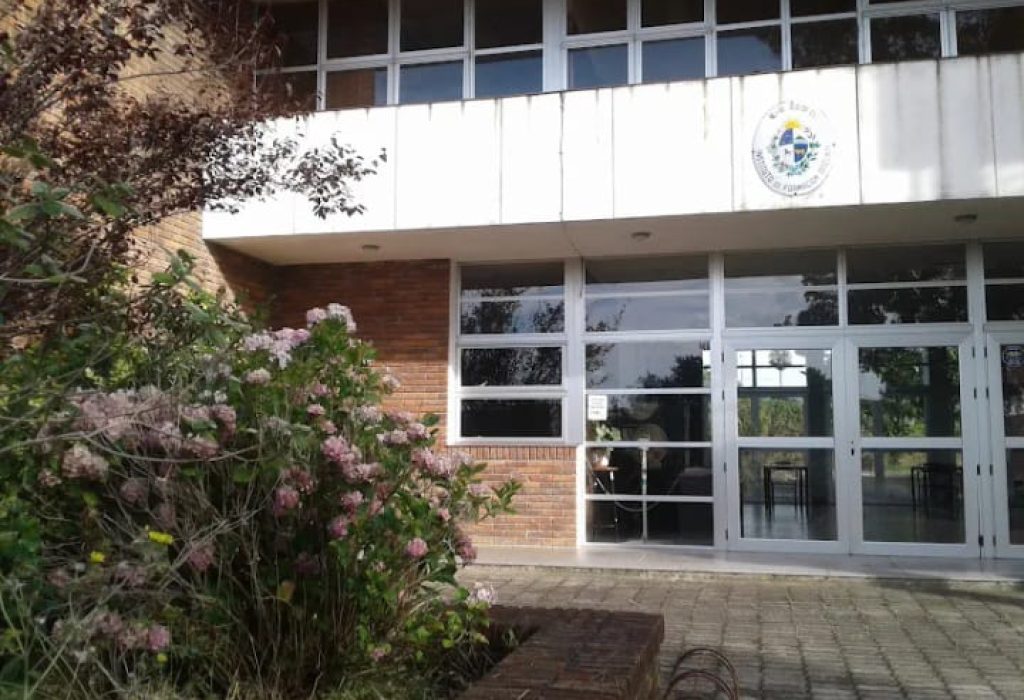 WhatsApp Image 2025-11-13 at 17.13.54 (1)