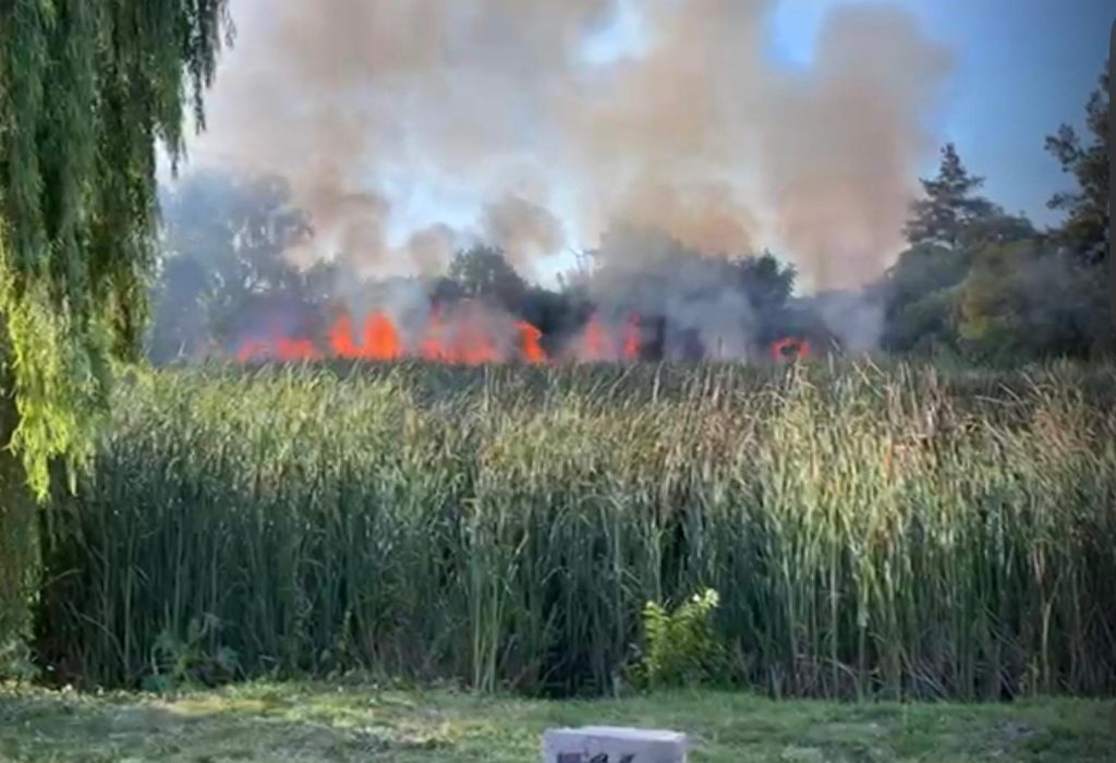 WhatsApp Image 2026-01-06 at 12.37.36 (1)