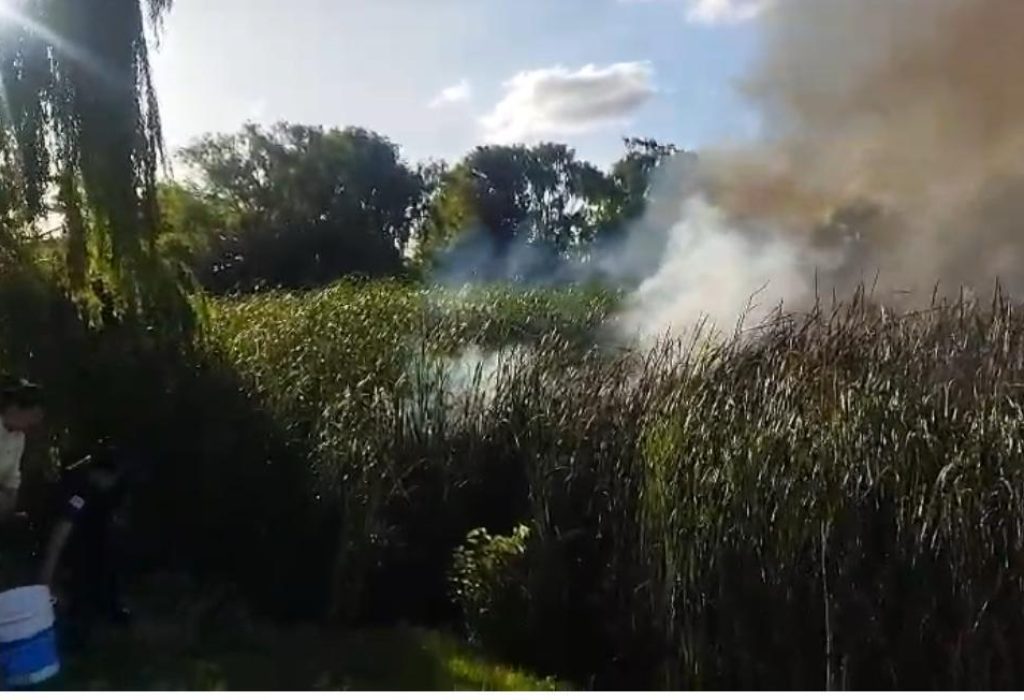 WhatsApp Image 2026-01-06 at 12.37.36