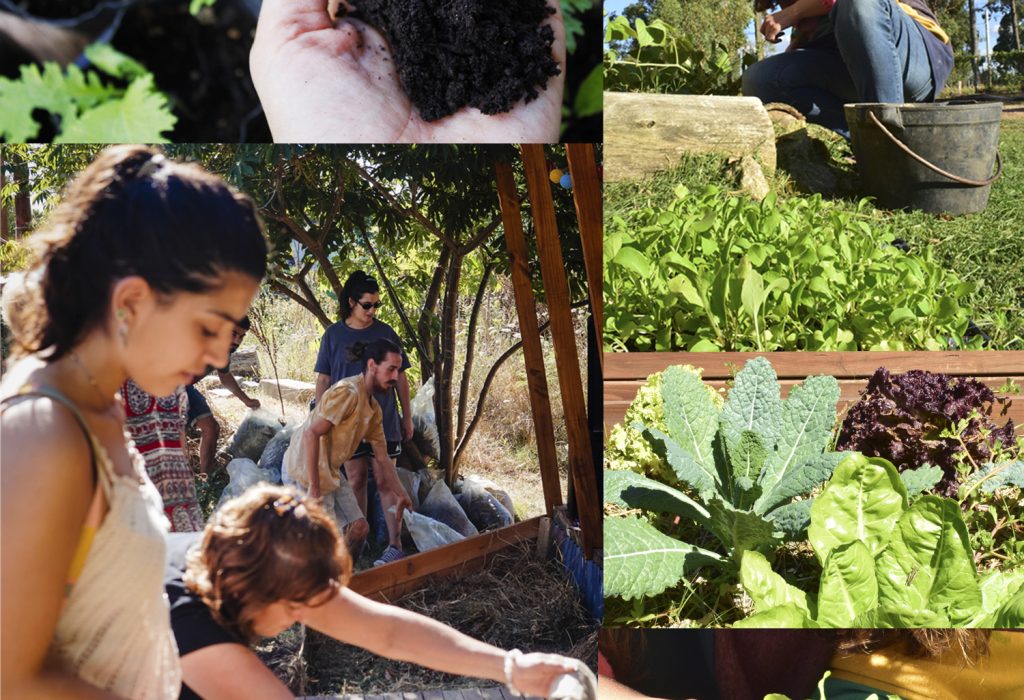 collage_huerta
