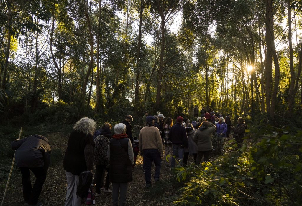 parque3a