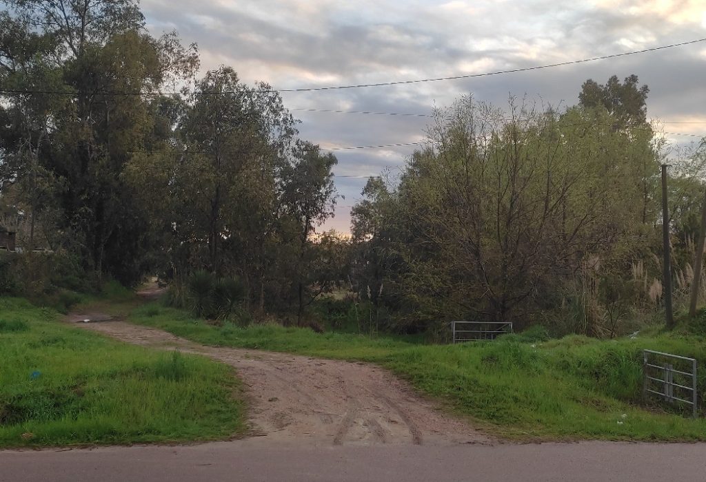 parque5